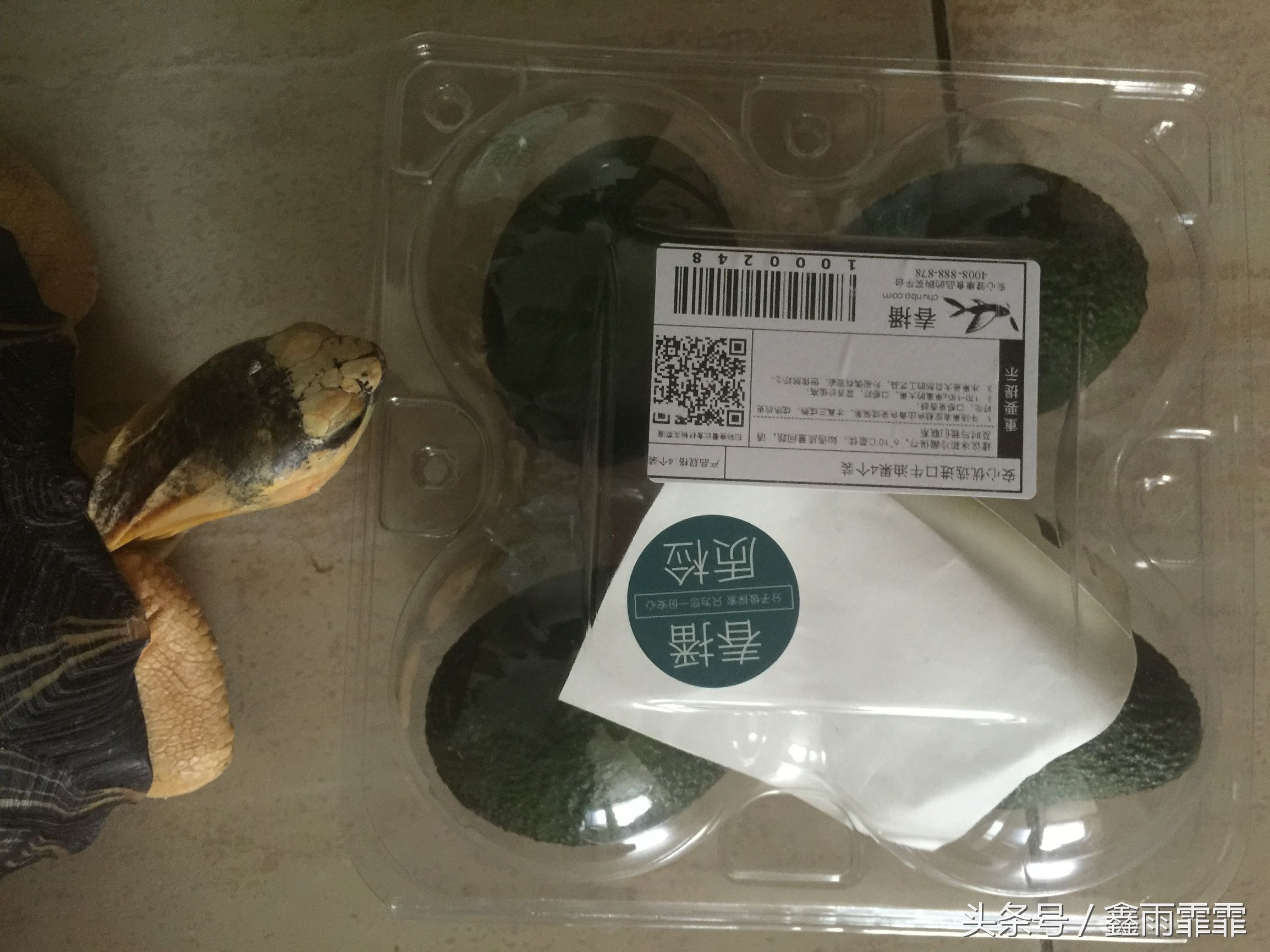 牛油果怎么挑选才是正确的,怎么挑选牛油果最好吃