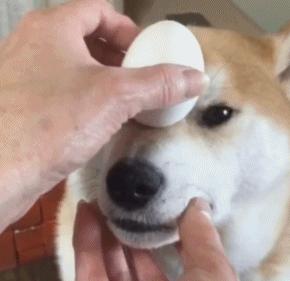 你们说他到底梦见什么了呢？这一发有点意思~~下次奥运就用这招