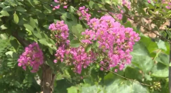 记安丘市柘山镇老子村第一书记赵学和