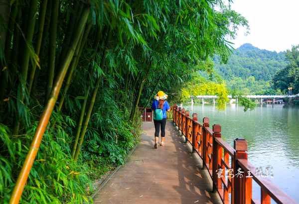贵州多彩贵州风五日游,走进多彩贵州欣赏贵州美景