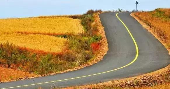 保定周边免费看红叶最佳旅游地点,保定周边一日游看红叶自驾游