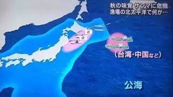 只属于这个季节的海味，带着内脏吃说明你是行家