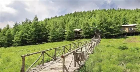 灵石红崖峡评价,灵石红崖峡门票价格