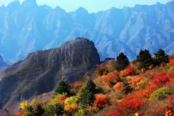 保定周边免费看红叶最佳旅游地点,保定周边一日游看红叶自驾游