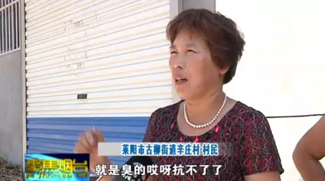 福山区化工厂污染,山东裕兴化工厂污染