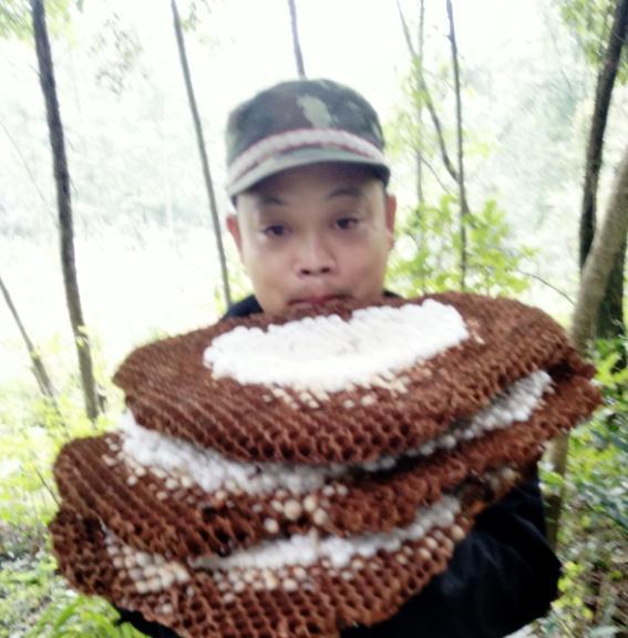 一侗给您介绍一位年轻的侗族捕猎能手——阿现大师