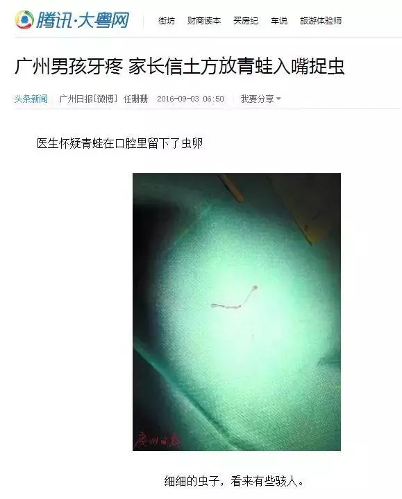 青蛙放嘴中捉“虫”育儿“土方”真的有效吗?