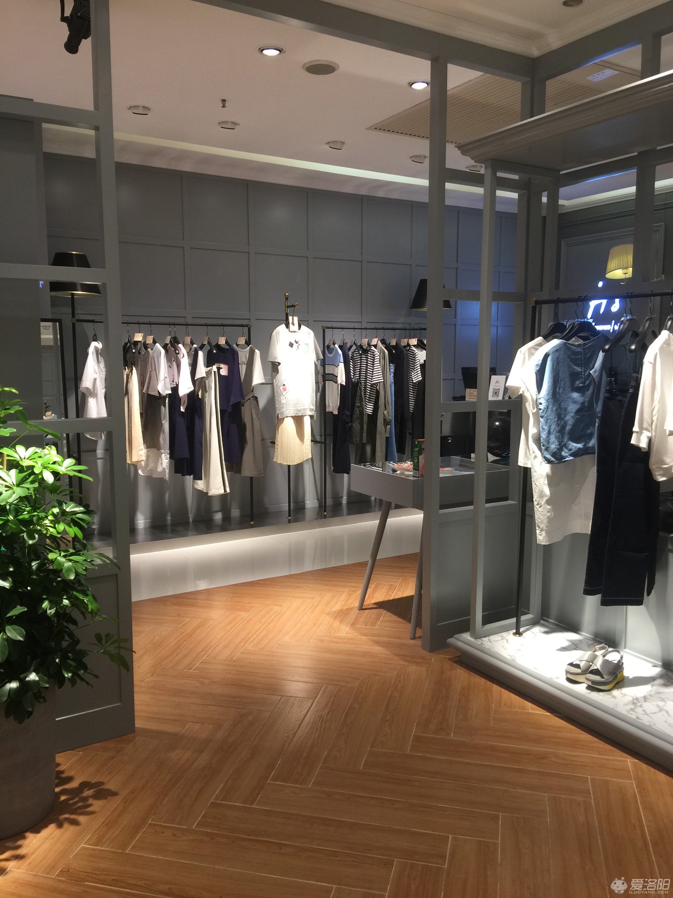 洛阳商圈早知道，老王府井又入驻一高逼格品牌HS