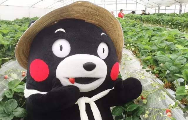 军训身体防晒推荐国货,军训户外防晒推荐平价