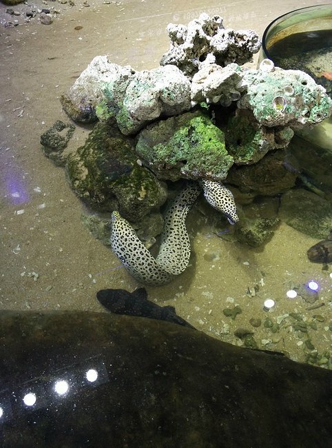 带孩子三亚游玩心情,带娃去三亚心情