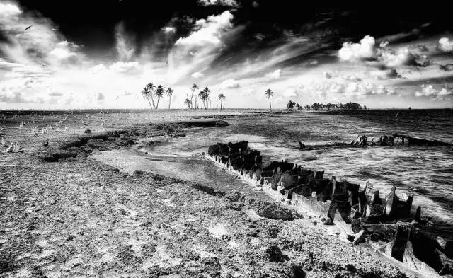 随手抓拍丑照,丑照拍摄教程