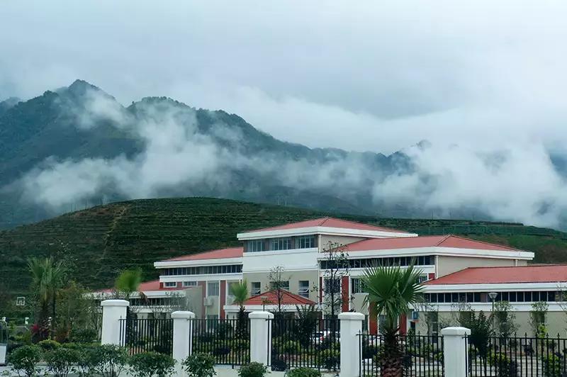 安溪由茶乡变成诈骗之乡,安溪为啥被称为诈骗之乡