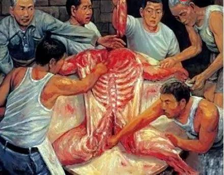 猫咪会吃主人尸体吗,猫咪会吃掉人类幼崽吗