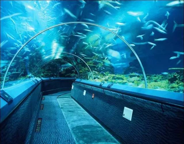 六十多家旅游景点门票半价,这8家景区免费或有优惠