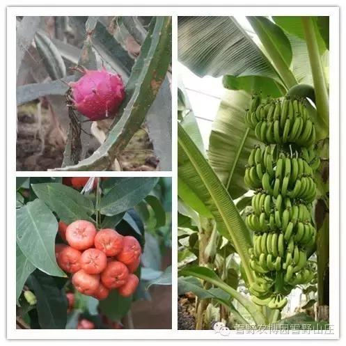 感恩教师节景区活动,感恩教师节门票优惠政策