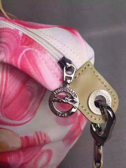 longchamp珑骧饺子包,longchamp饺子包爆款