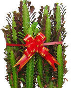 怎样知道自己家的财位在哪个位置,如何确定家里的财位在哪个位置