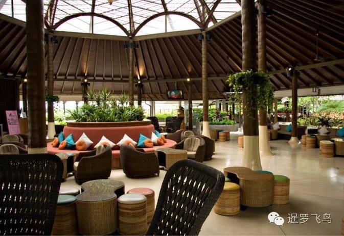 世界上最美的机场跑道,世界上最美的机场