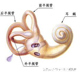 防止孩子晕车的小窍门,防小孩晕车小窍门