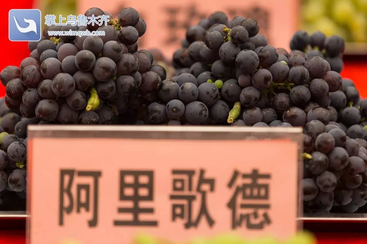 自带花香味的葡萄你吃过吗,吃葡萄不吐葡萄皮的葡萄怎么挑