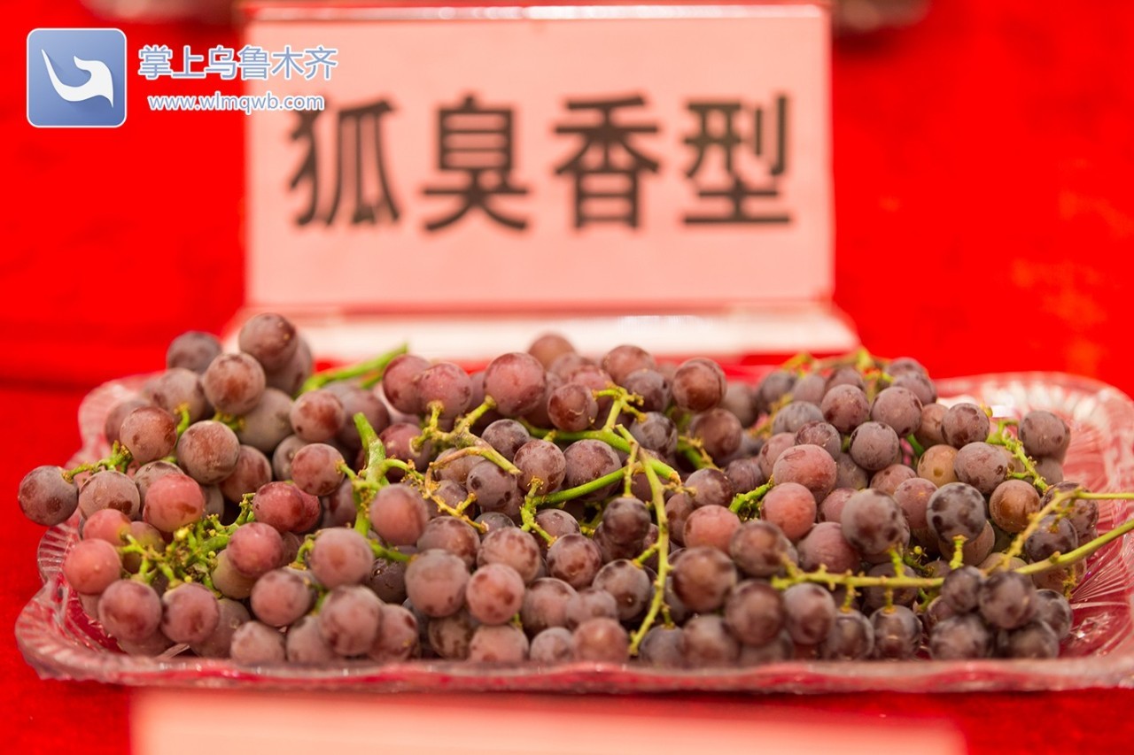 自带花香味的葡萄你吃过吗,吃葡萄不吐葡萄皮的葡萄怎么挑