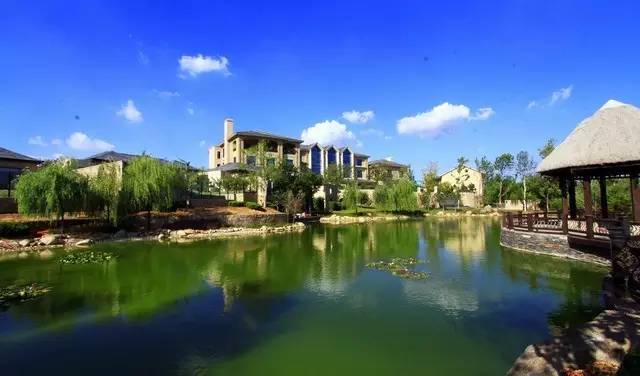 国医大师石学敏送给威海人的9个治病秘方！还有40年养生经验，值得珍藏~