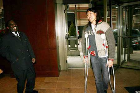 铁榔头圆头,铁榔头简介