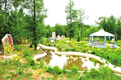 宁城县:乡村美百姓富产业兴新风劲