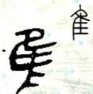 唯字与惟字的区别,惟和维字有何区别