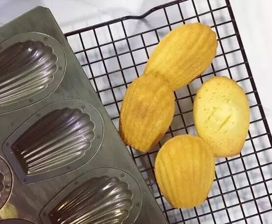 玛德琳模具新款,玛德琳模具单个