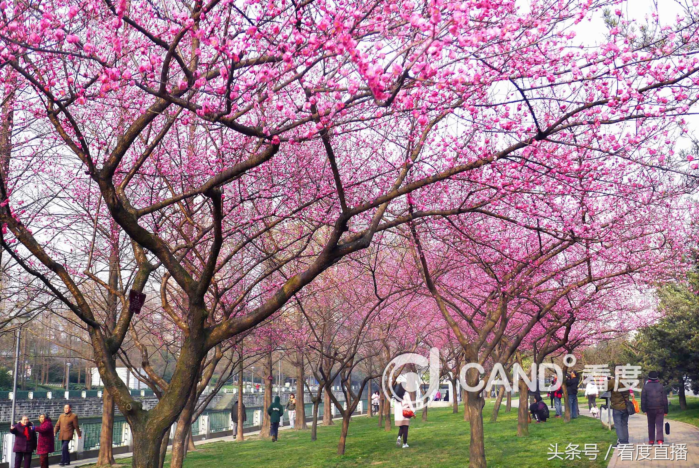 清明成都周边亲子游,成都周边清明三天假适合去哪玩