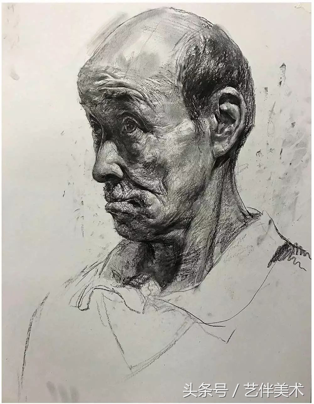 栾树画室联系方式,栾树画室有集训吗