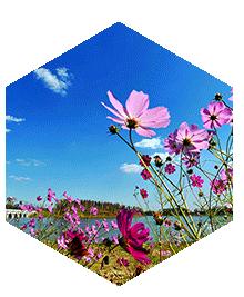 全国唯一一个叫长春的城市,长春是怎样的一座城市