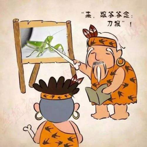 会说河北方言也会说普通话,一听就知道保定方言