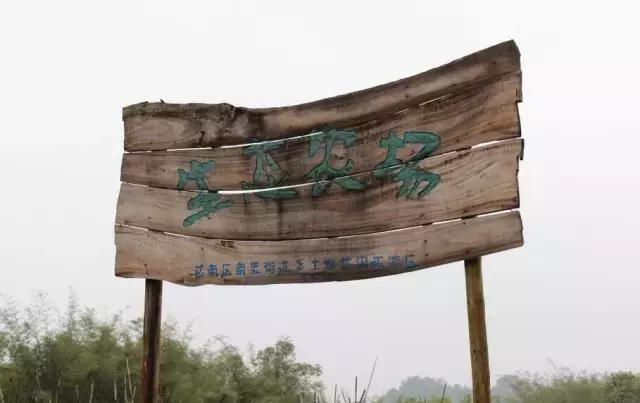 农家乐推荐周边特色农家乐平武,重庆主城周边农村农家乐前十名