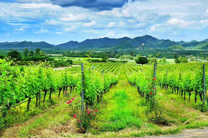 泰国华欣海边旅游攻略,泰国华欣海边度假好去处