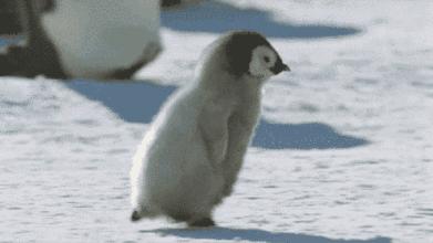 les同性相爱的我们，女朋友太作怎么办？