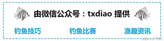 渔品汇产品,渔品汇饵料