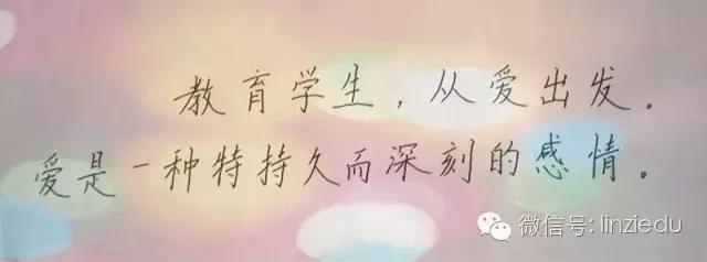 临淄中小学老师,临淄优秀教师2020