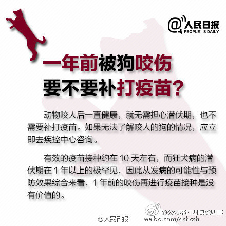 怎么知道狗携带有狂犬病毒,咋样知道有没有狂犬病发作