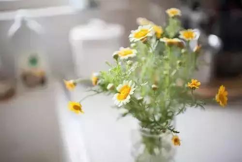 在吗我想你了模板,在吗我想你了语音