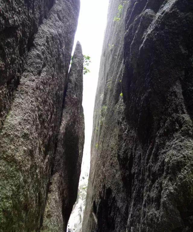 我眼中的中国原版视频,我眼中的中国原唱