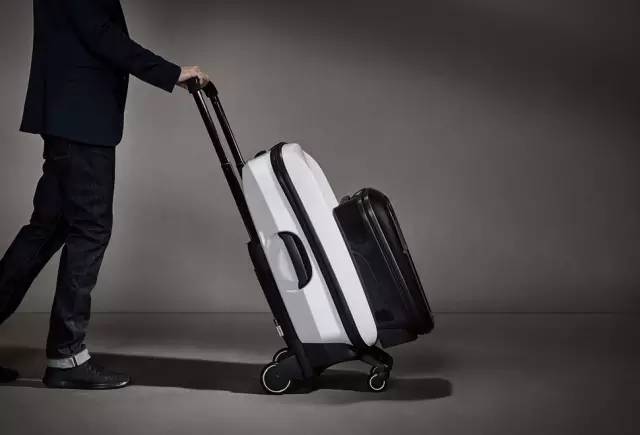 它身材娇小，却是一位很棒的私人助理｜新品抢先看