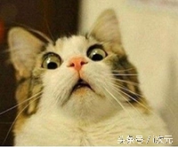 硅谷最神秘组织都痴迷的眼球追踪，是革命还是毁灭？