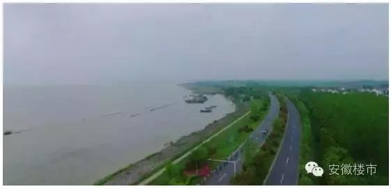 8月房地产销量排行榜,巢湖房价历年涨幅图表