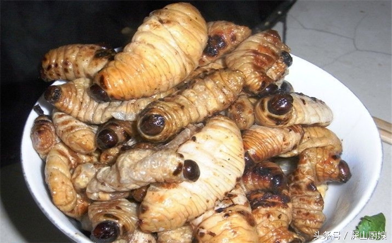 蛆虫吃法大全,肥肥的黑猪肉怎么吃