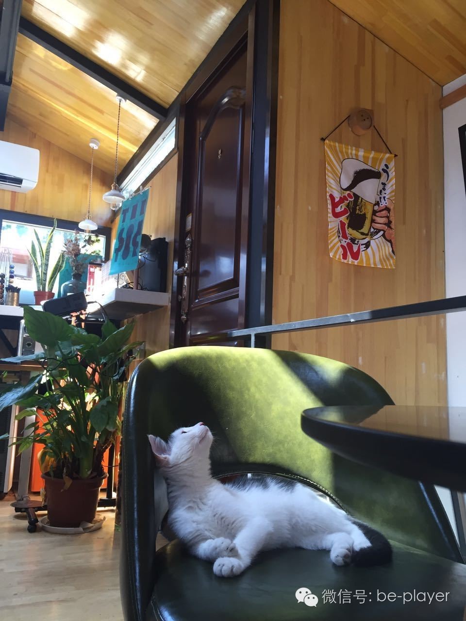 讨厌快阅读的你,可以去“摘刺”转转