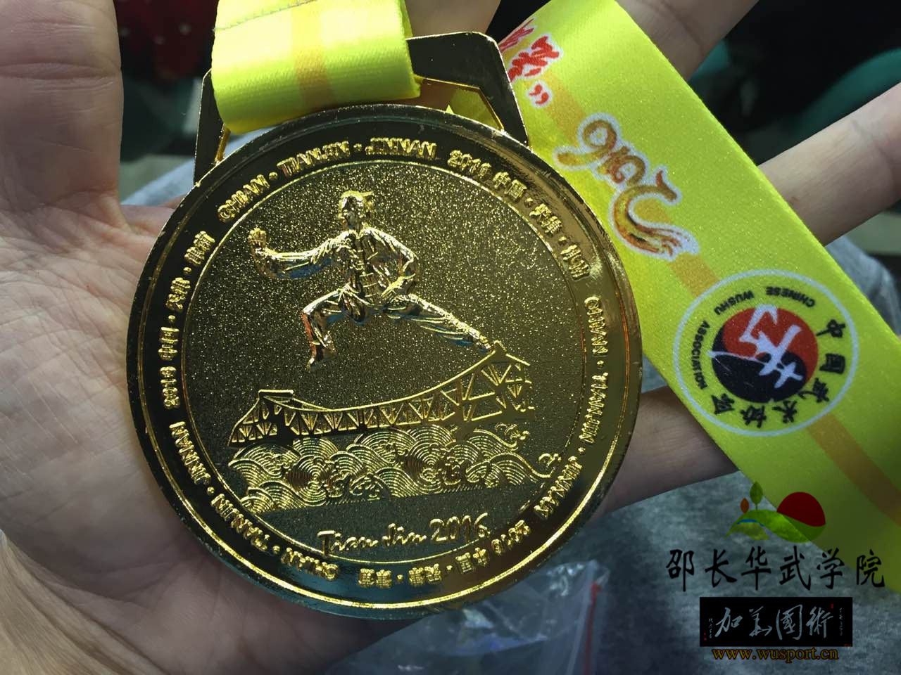 英姿飒爽战津门，武林大会再辉煌，龙身蛇形太极2016征战辉煌