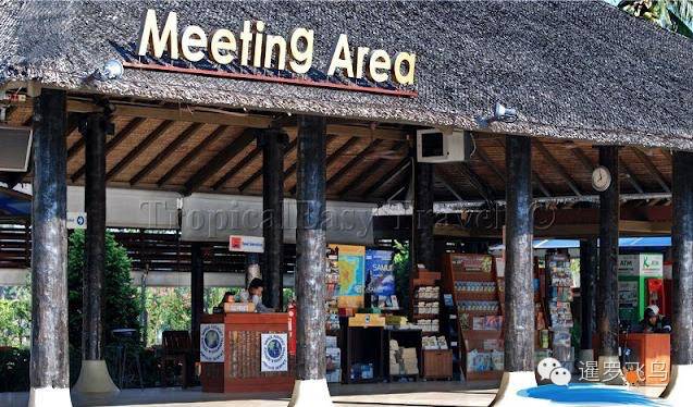 世界上最美的机场跑道,世界上最美的机场