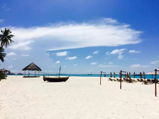 马尔代夫的蜜月岛值得去吗,去马尔代夫度蜜月感受